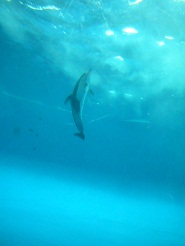 2012082128.jpg
