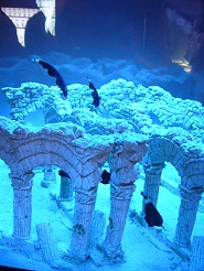 2012082204.jpg