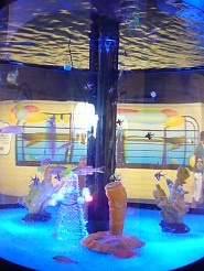 2012082205.jpg
