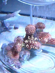 2012082207.jpg