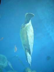 2012082211.jpg