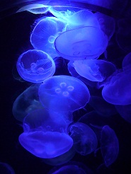 2012082212.jpg