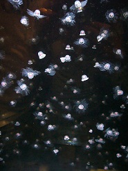 2012082214.jpg