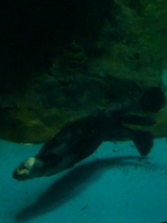 2012082215.jpg