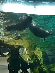 2012082216.jpg