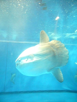 2012082217.jpg