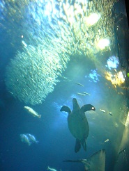 2012082219.jpg
