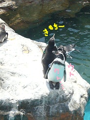 2012082221.jpg