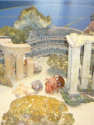 2012082222.jpg