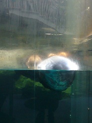 2012082224.jpg