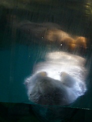 2012082225.jpg