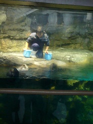 2012082226.jpg