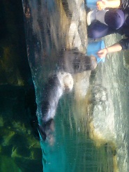 2012082227.jpg
