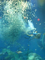 2012082301.jpg