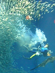 2012082302.jpg