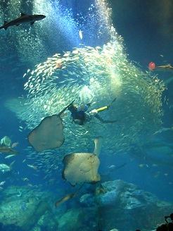 2012082303.jpg