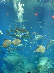 2012082304.jpg