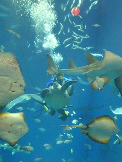 2012082305.jpg