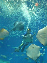2012082307.jpg