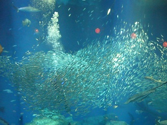 2012082308.jpg