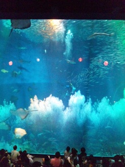 2012082310.jpg