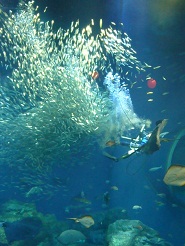 2012082311.jpg