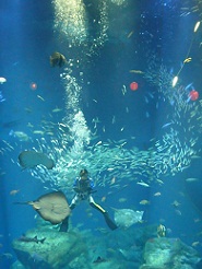 2012082312.jpg