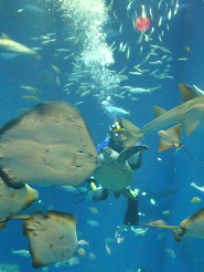2012082313.jpg