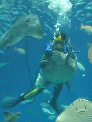 2012082314.jpg