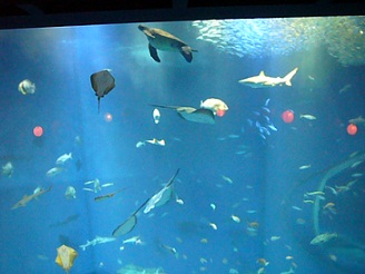 2012082315.jpg