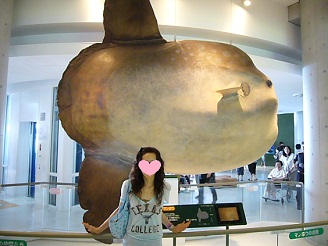 2012082316.jpg