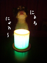 2012082501.jpg