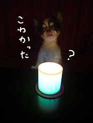 2012082502.jpg