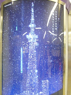 2012082602.jpg