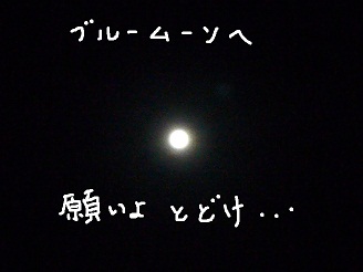2012082604.jpg