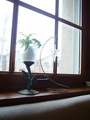 2012082802.jpg