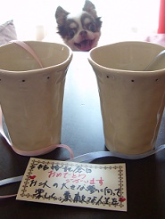 2012082807.jpg