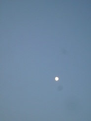 2012082824.jpg