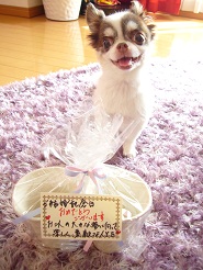 2012082831.jpg