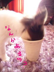 2012082832.jpg