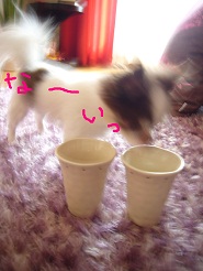 2012082833.jpg
