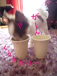 2012082835.jpg