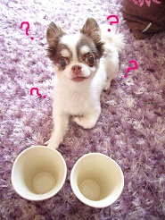 2012082836.jpg