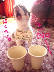 2012082837.jpg