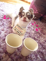 2012082838.jpg