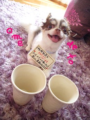 2012082839.jpg