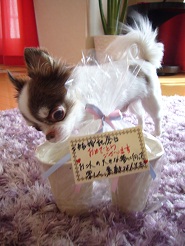 2012082840.jpg