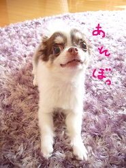 2012082841.jpg