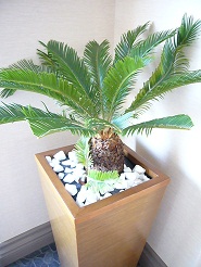 2012082912.jpg