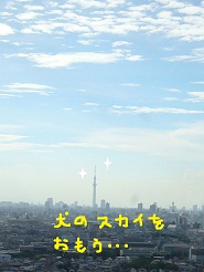 2012082920.jpg